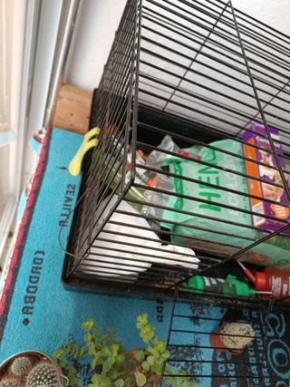 Jaula para cobayas y conejos