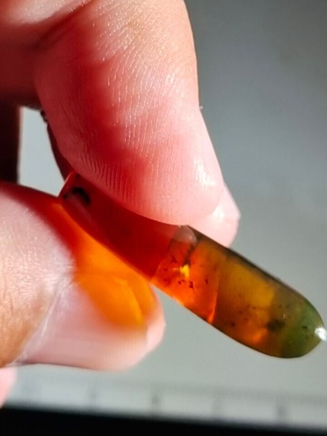 Ámbar Fósil con Insectos Cretácico 1.48g