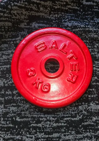 Discos Salter 30 mm (2 unidades)