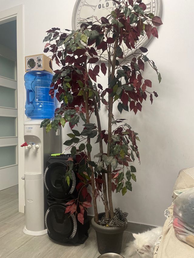 Planta decorativa artificial