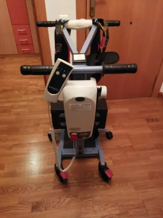 Grúa bipedestación