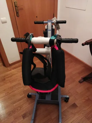 Grúa bipedestación