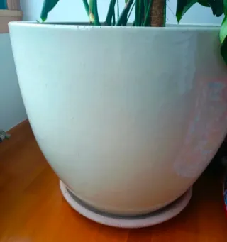 Macetero Cerámica Grande 57x53