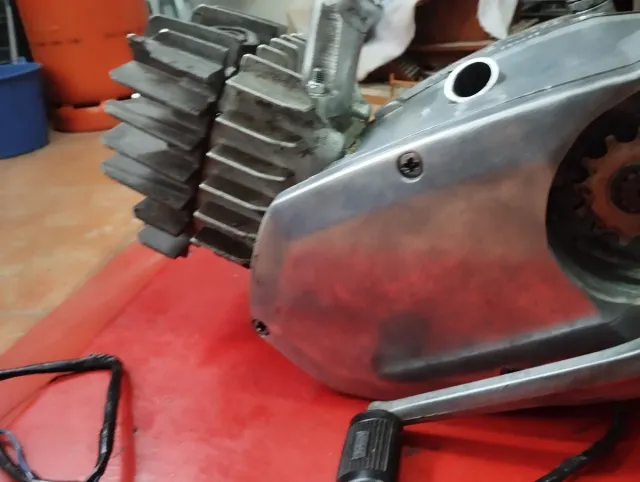 MOTOR AGUA PUCH COBRA