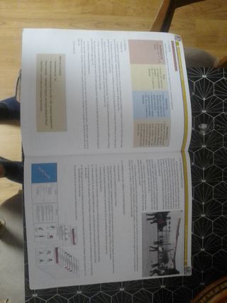 E:Activitat física i salut 3 (Spanish Edition)