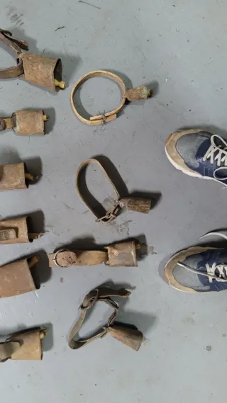 Lote de 17  Cencerros Antiguos con Correa