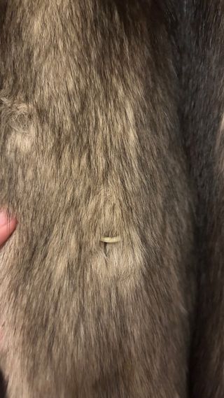 Chaqueta de piel de zorro auténtica - vintage.