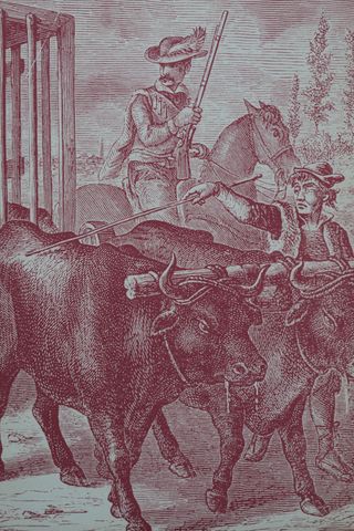 El ingenioso hidalgo Don Quijote de la Mancha