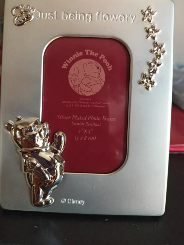 Cornice Portafoto Winnie The Pooh Disney Argento