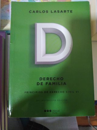 Principios de Derecho civil. Tomo VI: Derecho d...