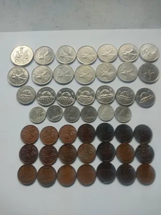 Monete Argento Canada