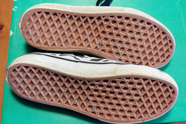 Vans Zebra Daze Junior Talla 34.5