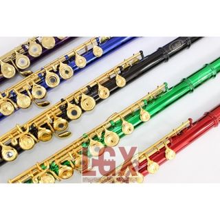 Flauta travesera colores (rojo, azul, verde, negro