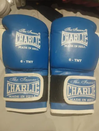 Guantes de Boxeo Charlie Made in Hell