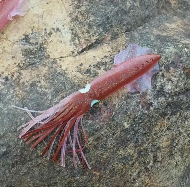 Señuelo calamar grande para currican 31 cm y 67 gr