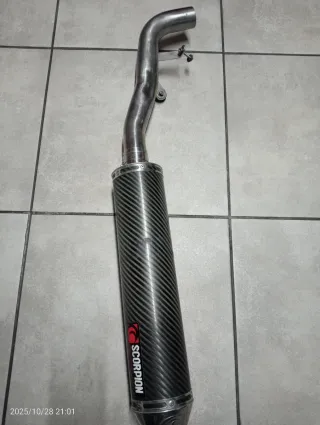 Escape Scorpion Carbono