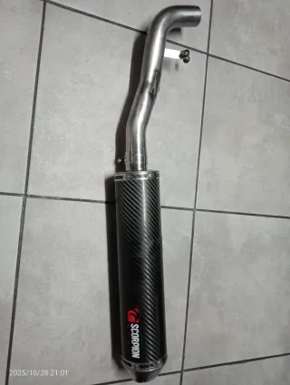 Escape Scorpion Carbono