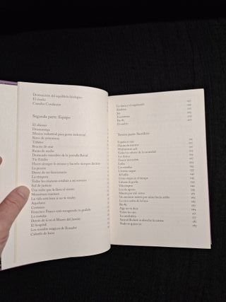 Jorge de Cascante. Una ciudad entera bañada en...