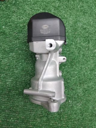 Válvula EGR HELLA 6NU 010 171-671 Eléctrica