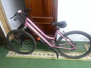 Bicicleta Montaña Rosa