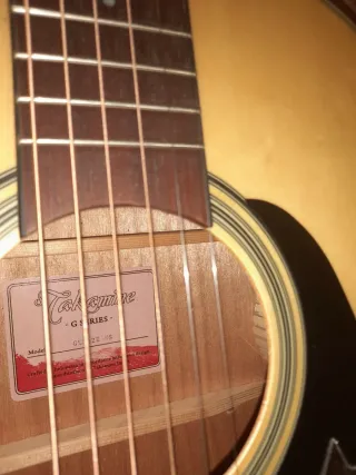 Guitarra Electroacústica Takamine GLN12ENS + Funda