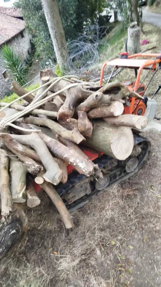 Madera para fuego 1000k 40€