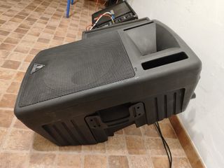 Monitor Profesional Behringer Biamplificado