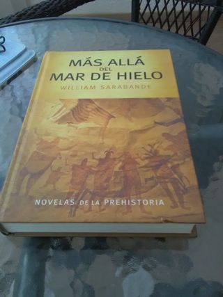 Mas allá del.mar de hielo