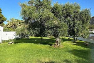 Terreno en venta en Norte en Jerez de la Frontera