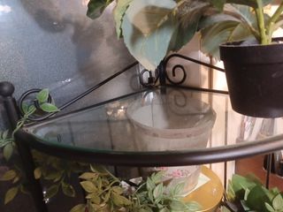 Estantería Esquinera Hierro y Cristal