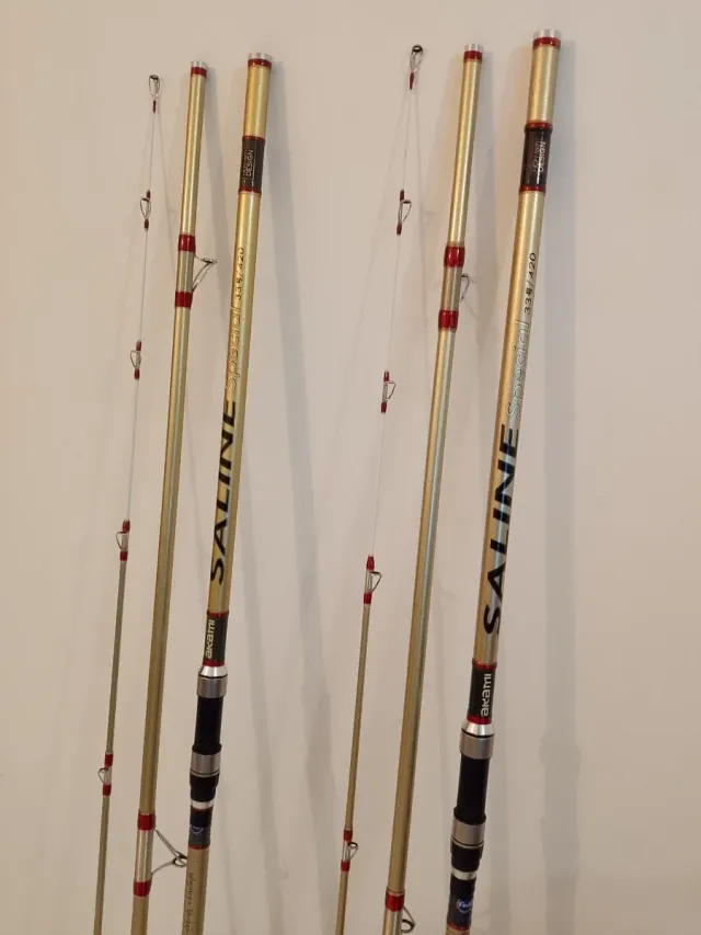 Caña de pescar Akami Saline Special 33