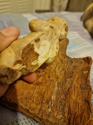 Bambin Gesù vintage presepe