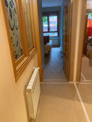 pintamos -alisamos y todolo relacionado en pintura