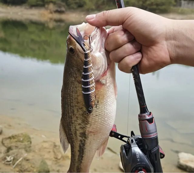 Señuelo articulado 13.5cm 20gr