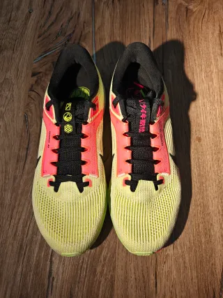 Nike Pegasus 40 Air zoom 