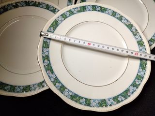 Platos Llanos Porcelana Opaca Sevilla