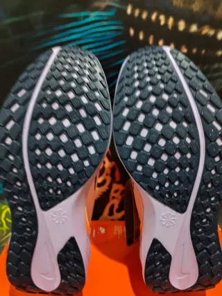 Nike Pegasus Easyon Mujer