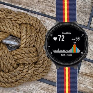 Correa Nylon Garmin 235 / 735xt / S20 / S6 España