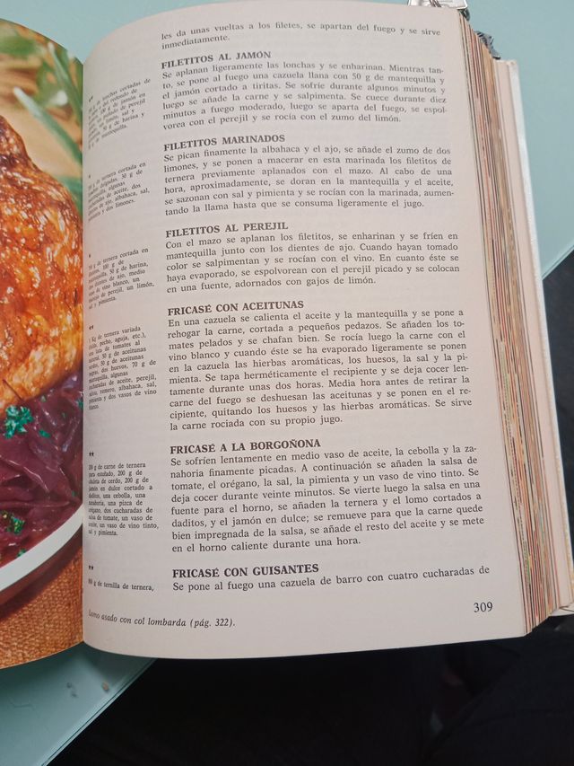 Gran enciclopedia de la cocina