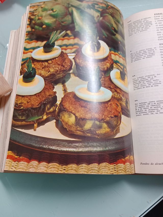 Gran enciclopedia de la cocina