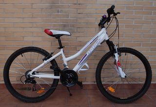 Bicicleta Aluminio 24” Suspensión DTB