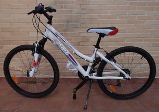 Bicicleta Aluminio 24” Suspensión DTB