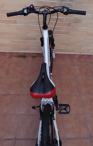 Bicicleta Aluminio 24” Suspensión DTB