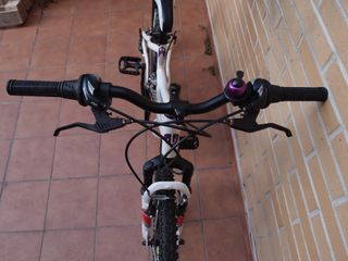 Bicicleta Aluminio 24” Suspensión DTB