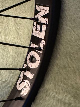 Cerchio posteriore BMX Stolen Rampage Freecoaster 20" 