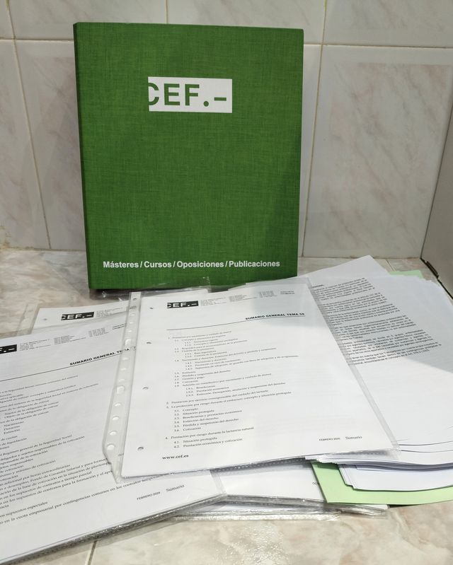 Temario PI Gestión Seg. Social 