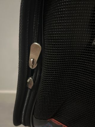 Transportín para gato