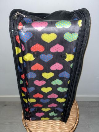 Transportín para gato