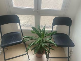 Sillas Altas Plegables Negras (2 unidades)