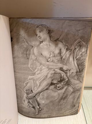 libro Dibujos de desnudos de los grandes maestros